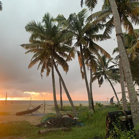 Shoreline Marari Beach Villa At Golden Beach Mararikulam Alappuzha Esterno foto