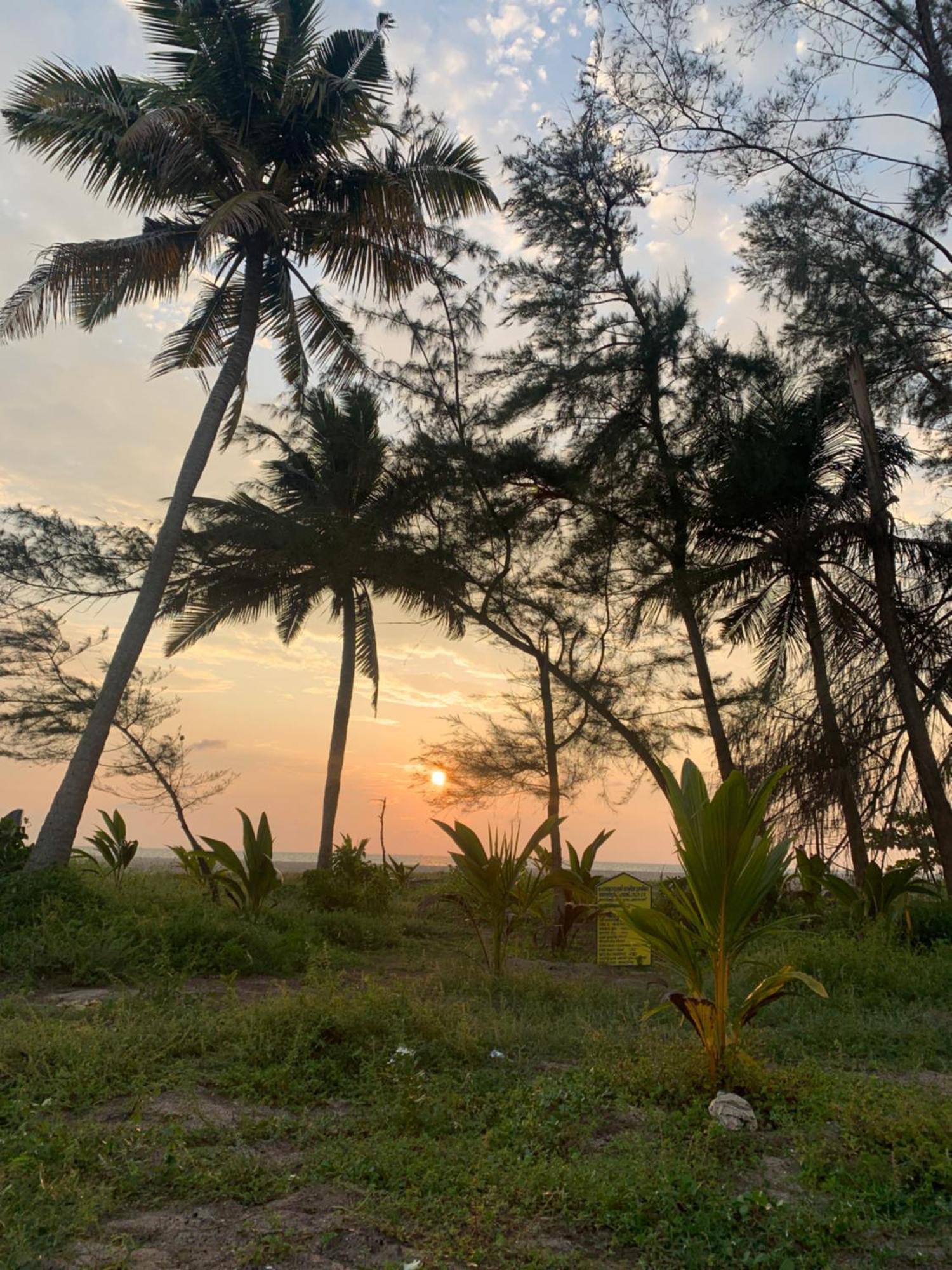 Shoreline Marari Beach Villa At Golden Beach Mararikulam Alappuzha Esterno foto